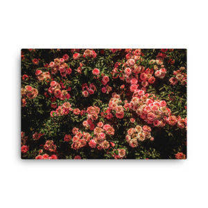 Rose Garden Canvas (24"x36")