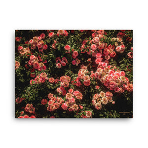 Rose Garden Canvas (18"x24")