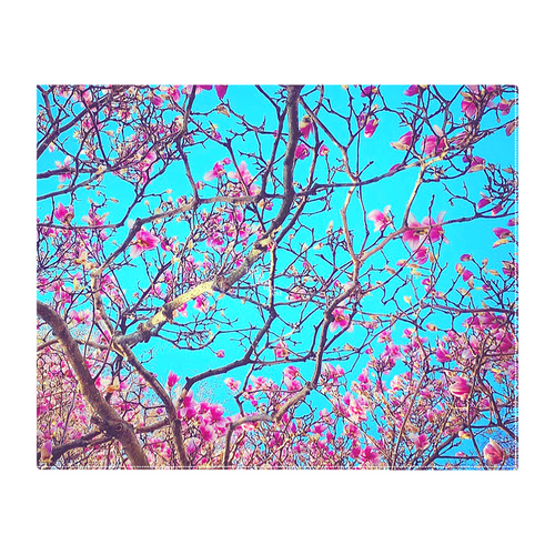 PInk Magnolias Canvas with easel