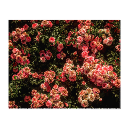 Rose Garden Canvas with easel