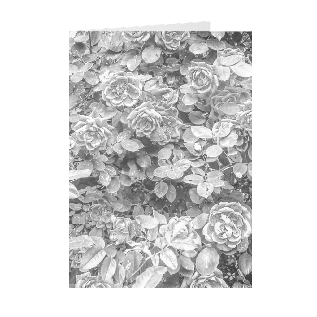 Roses en Noir et Blanc Card