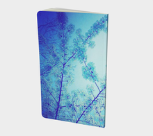 Blue Spring Journal (small)