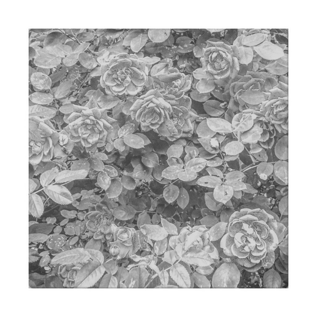 Roses en Noir et Blanc Cloth Napkin