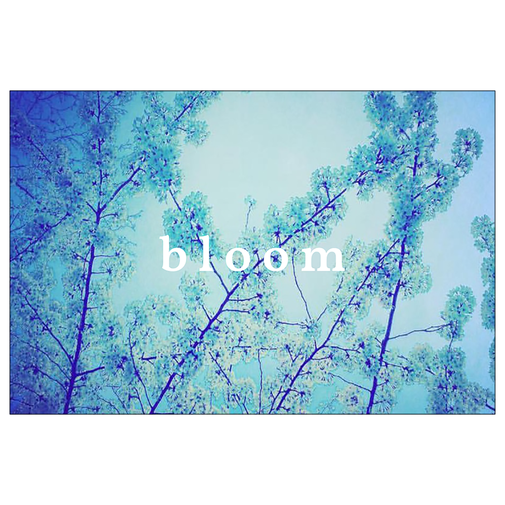 Blue Spring + Bloom Postcard