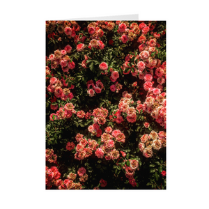 Rose Garden Card