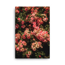 Rose Garden Canvas