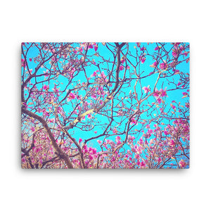 Pink Magnolias Canvas (18"x24")