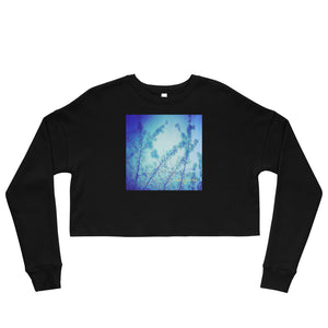 Blue Spring Crop Sweatshirt